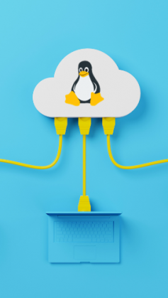 vps linux