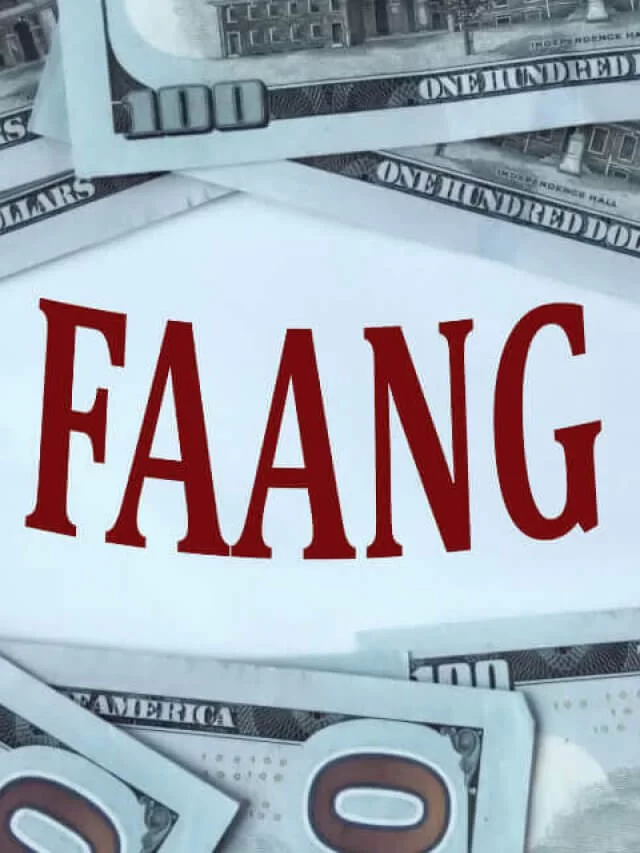 FAANG-capa (1)