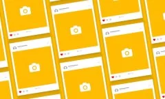 feed do instagram